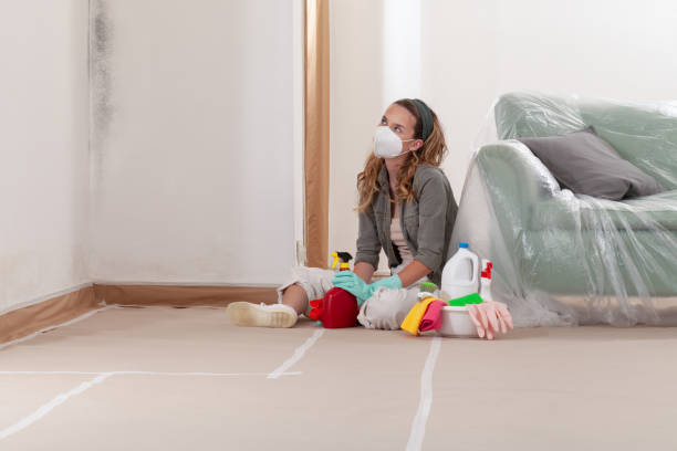 Reliable Black Mold Removal contractor in Jordan, MN by WQB Mold Removal